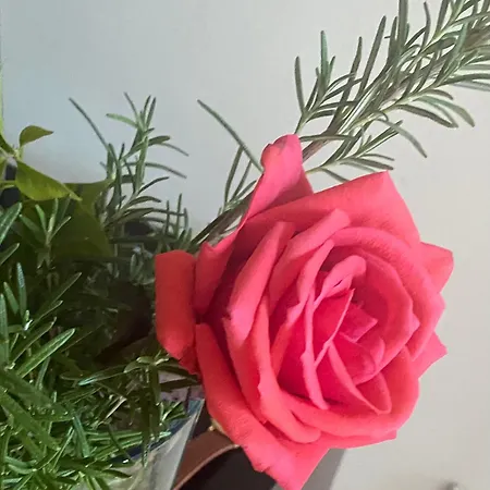 Penthouseblick * Bad Sobernheim