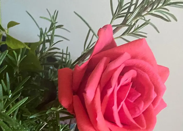 Penthouseblick * Bad Sobernheim